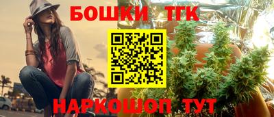 spice Пенза