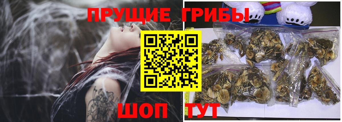 Псилоцибиновые грибы мицелий Похвистнево